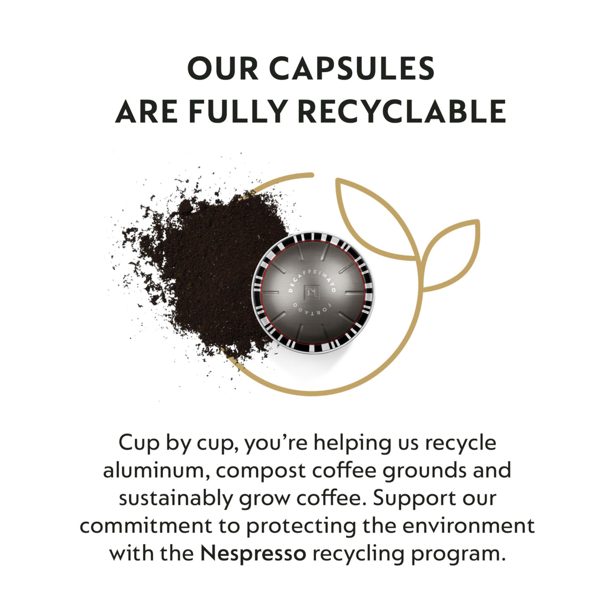 Nespresso Fortado Decaffeinato milk pairing idea suggests creamy balance.