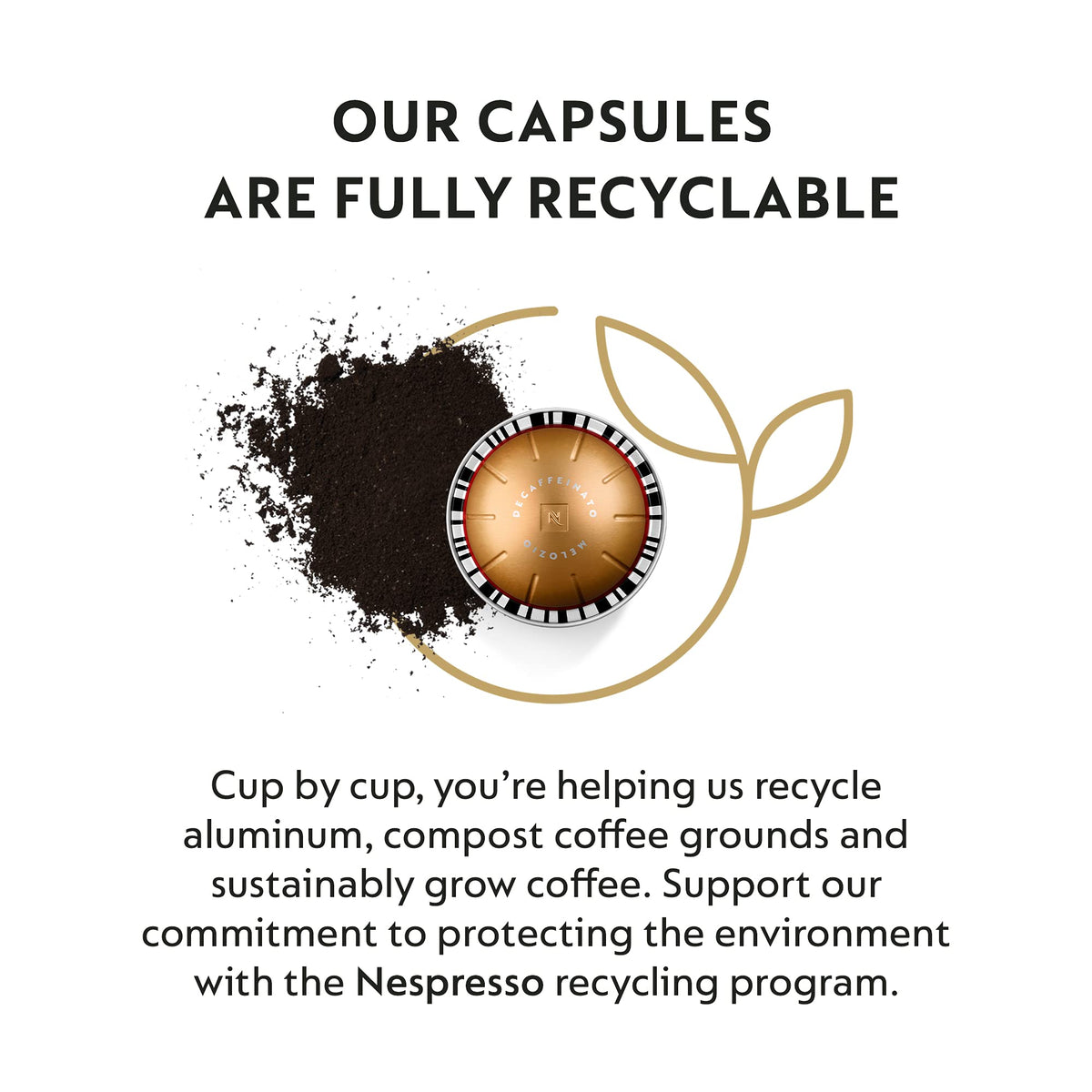 Milk pairs with Melozio Decaffeinated Vertuo for a softer, sweeter sip.