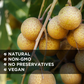 Nestlady dried longan closeup texture reveals chewy fruit meat ideal for desserts