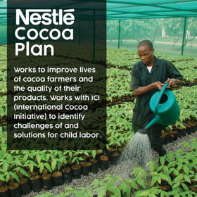 Nestlé Hot Cocoa sustainably sourced beans origin image; a responsible choice for cocoa lovers.