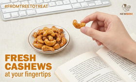 NEWBAM Honey Roasted Cashews gift tin, premium Vietnamese cashews.