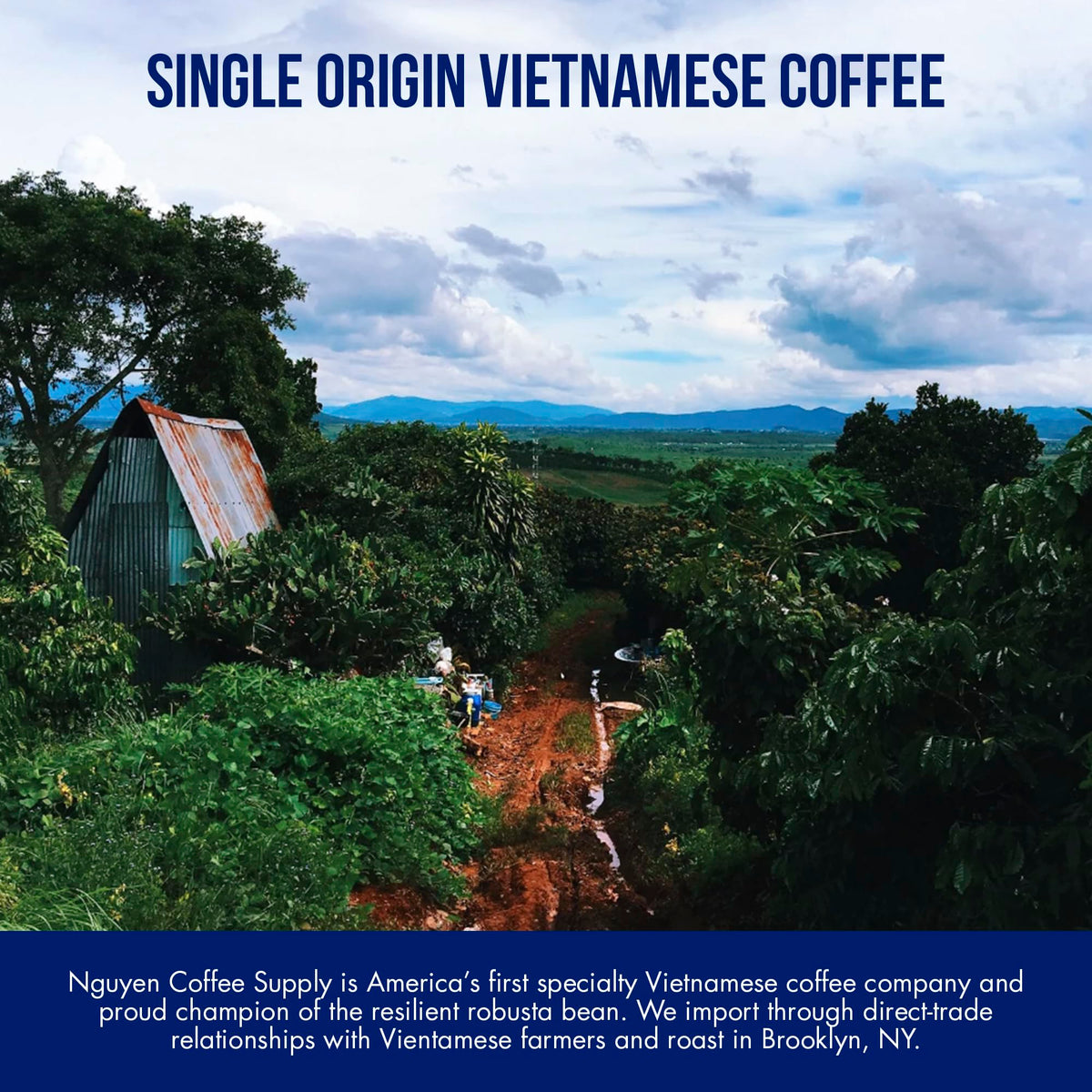 Nguyen Coffee Supply direct-trade farm Ton with Truegrit Robusta beans