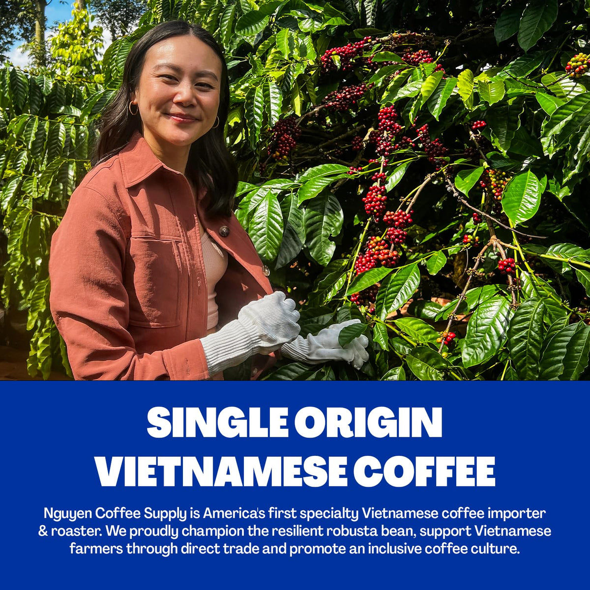 Nguyen Coffee Supply direct-trade Vietnamese beans support small farms