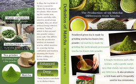 NICHIGA finely ground green matcha shows vibrant color and aroma.