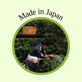 NIHON ICHIBAN Wasabi Paste mixed into dressing or mayonnaise for quick spreads