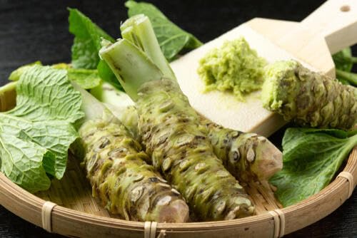 NIHON ICHIBAN Wasabi Paste with sashimi for authentic Japanese heat