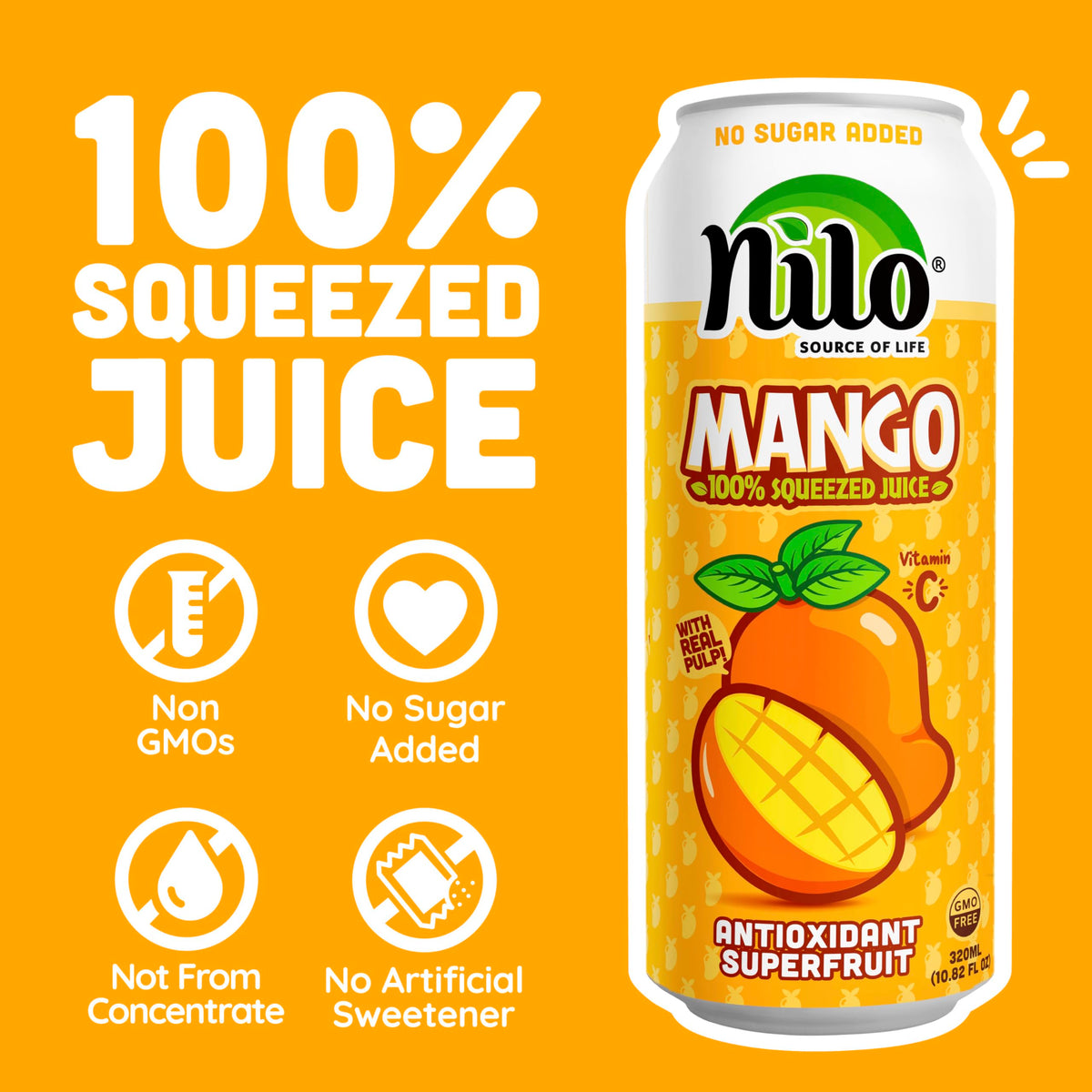 NILO Mango Juice pulp-closeup - real mango pulp texture in every sip.