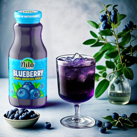 NILO No sugar added label indicating guilt-free refreshment