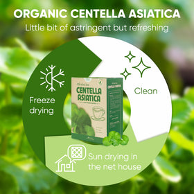 NMPT Centella Asiatica tea bags in cup highlighting soothing, caffeine-free refreshment.
