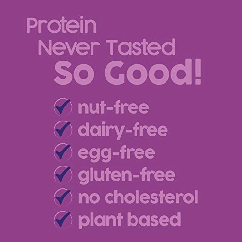 No Nuts! Blueberry & Vanilla bar for camping or lunchbox snacks