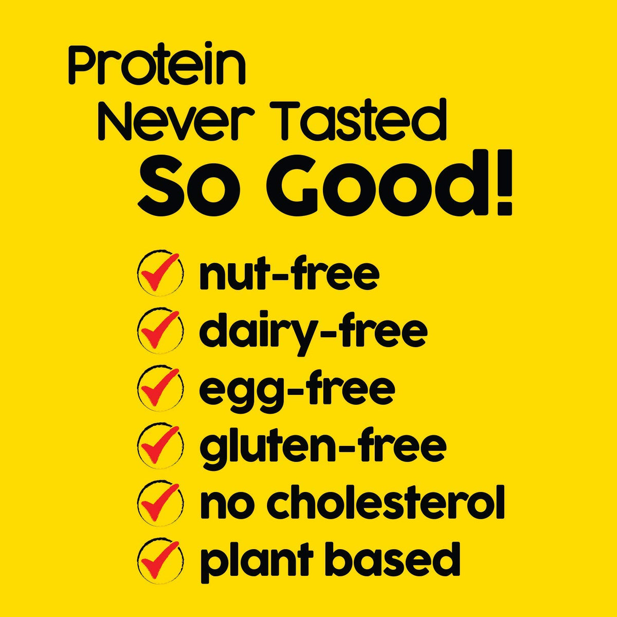 No Nuts blueberry vanilla bar with bite for vegan non GMO treat