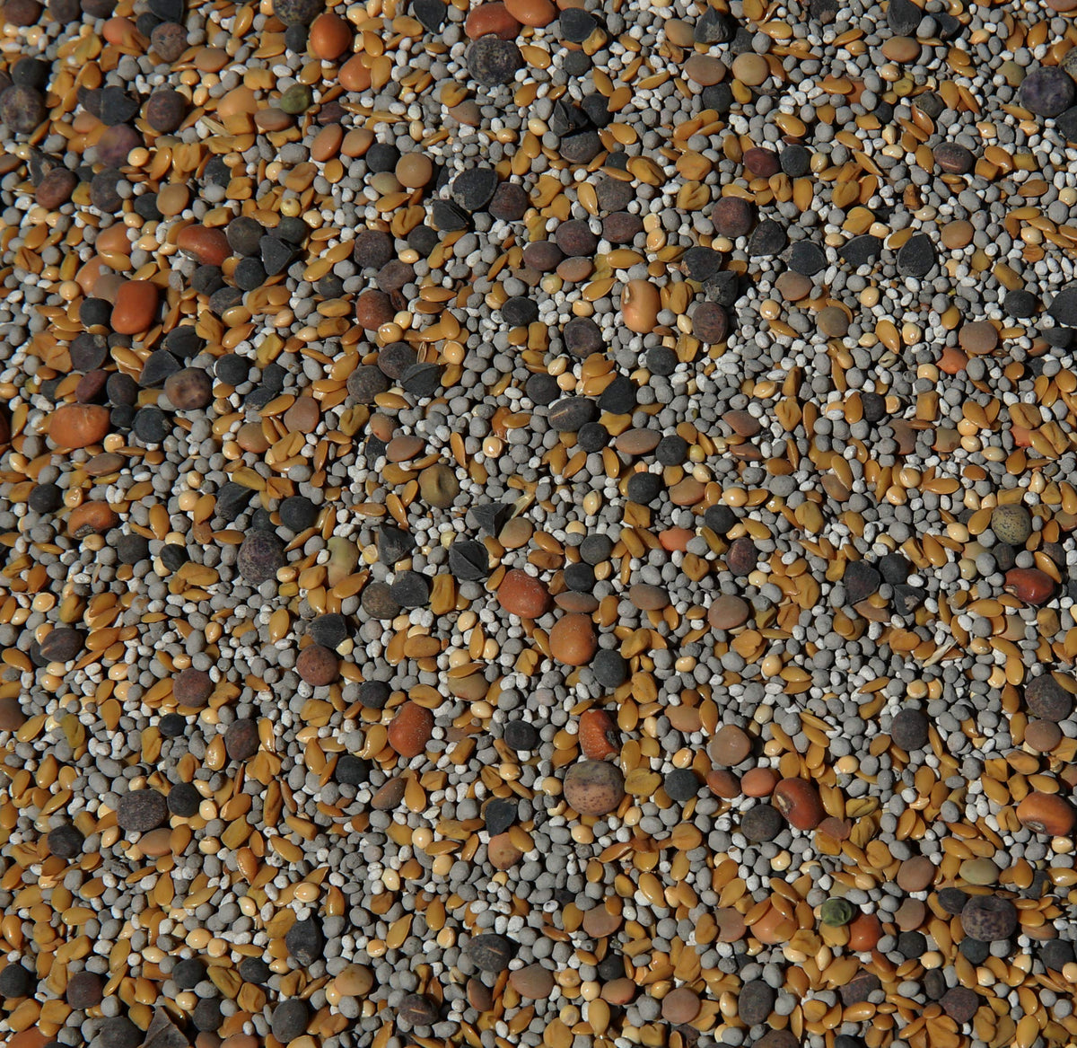 No-Till Solutions 13-seed mix front bag promoting soil-building cover crop benefits.