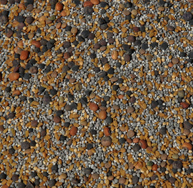No-Till Solutions 13-seed mix front bag promoting soil-building cover crop benefits.