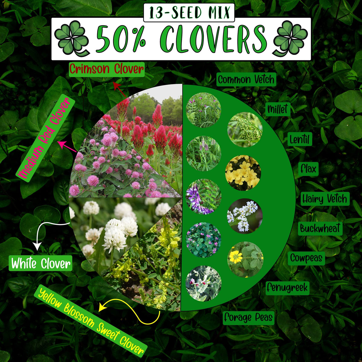 No-Till Solutions container garden with cover crops for healthier soil.