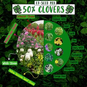 No-Till Solutions container garden with cover crops for healthier soil.