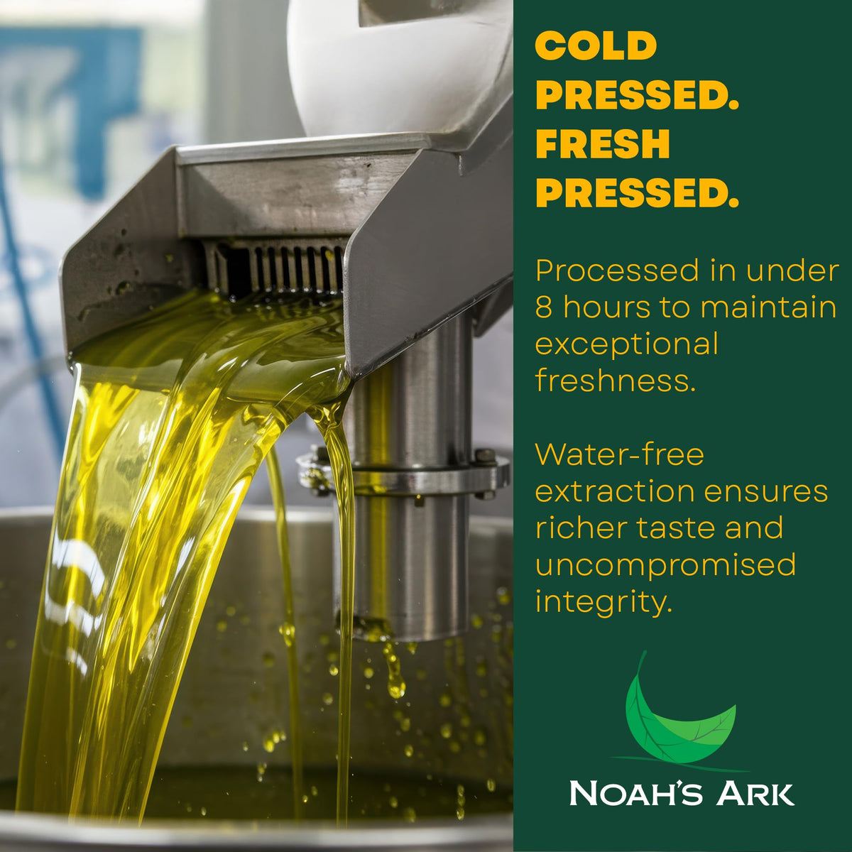 Noah`s Ark olive oil used as dressing for fresh greens.