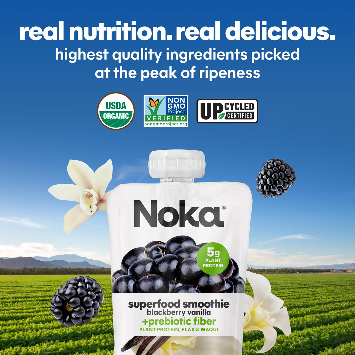 NOKA kids-and-adults-snacking scene showcases family-friendly portability.