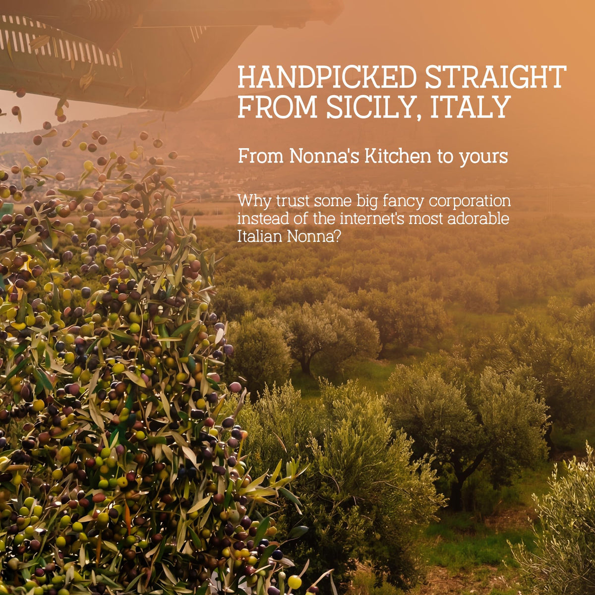 Nonna's Olive Oil in a traditional kitchen setting highlighting heritage