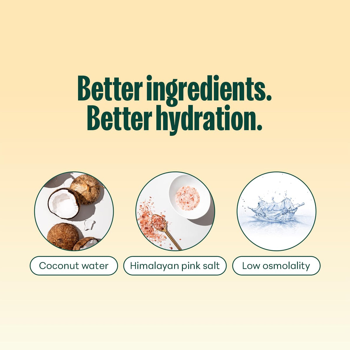 NOOMA 12-pack front image shows convenient on-the-go hydration.