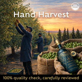 NOOR FÈS organic certifications reinforcing farming and production standards