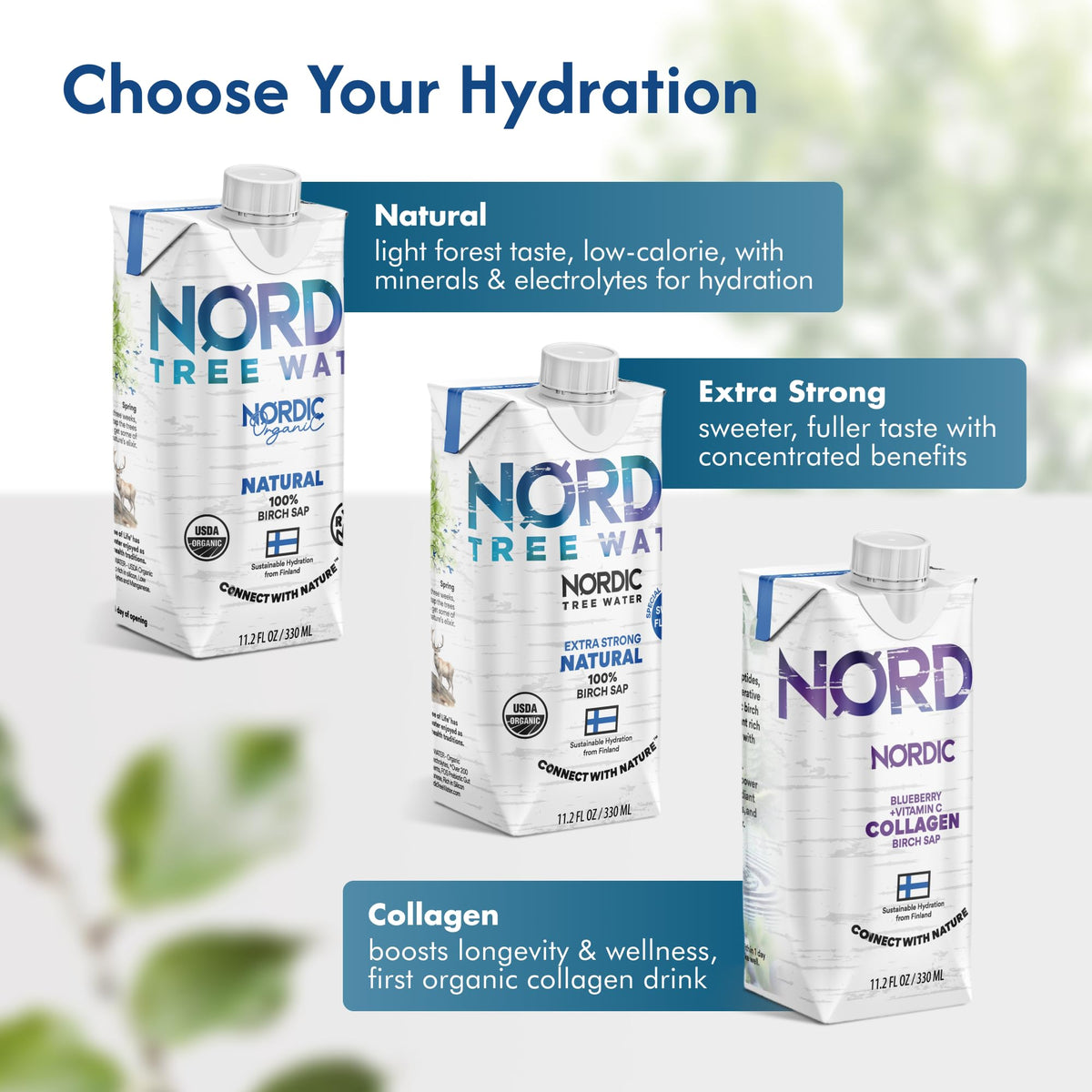 Nordic Tree Water daily routine setting supports wellness with natural ingredients.