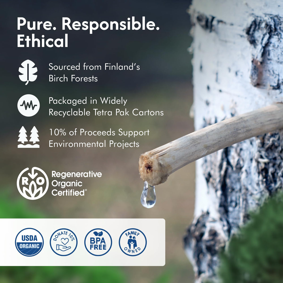 Nordic Tree Water BPA-free Tetra Pak packaging for eco friendly sustainability