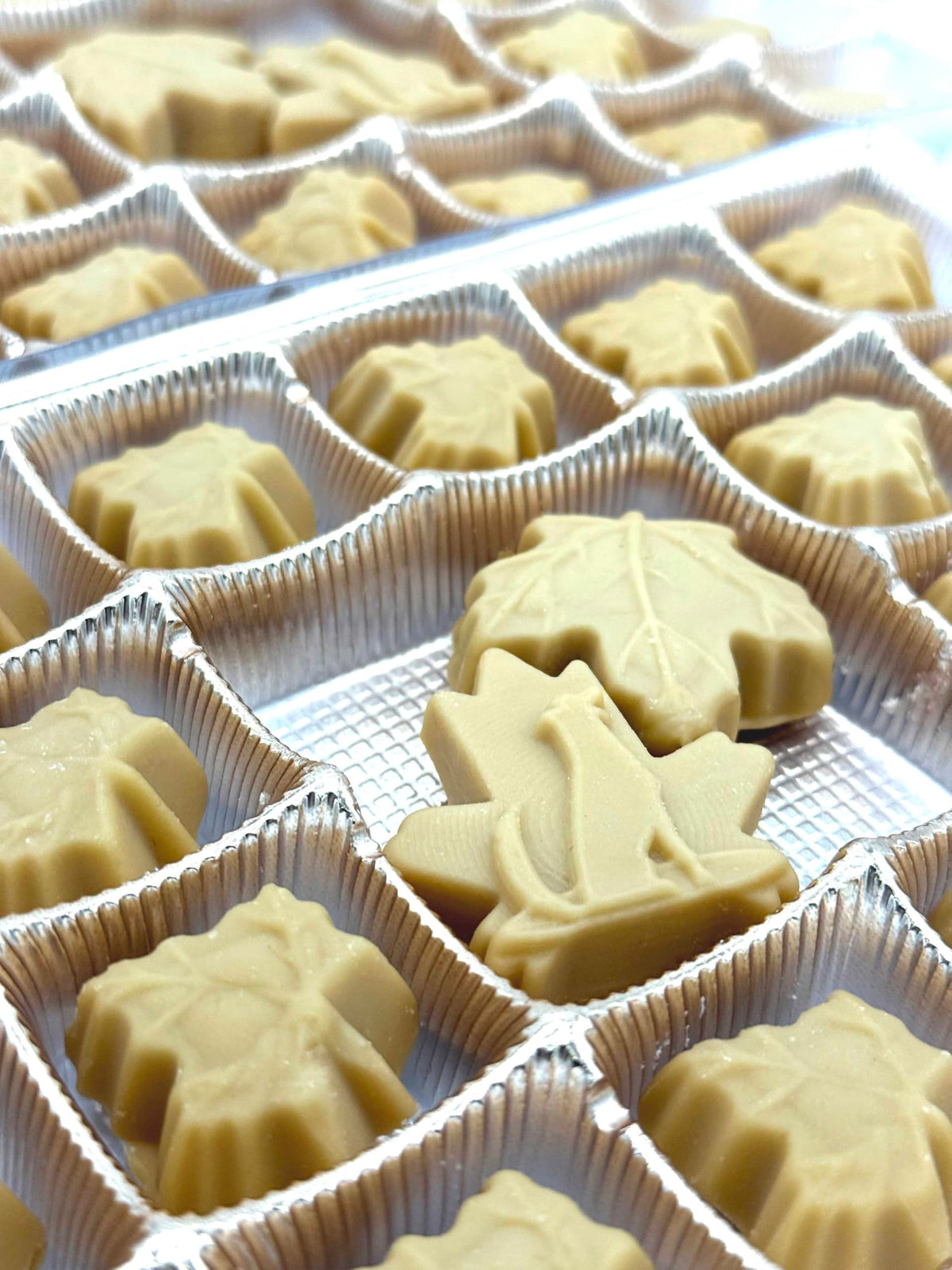 Nova Maple Candy box open inside view shows 16-24 maple treats.