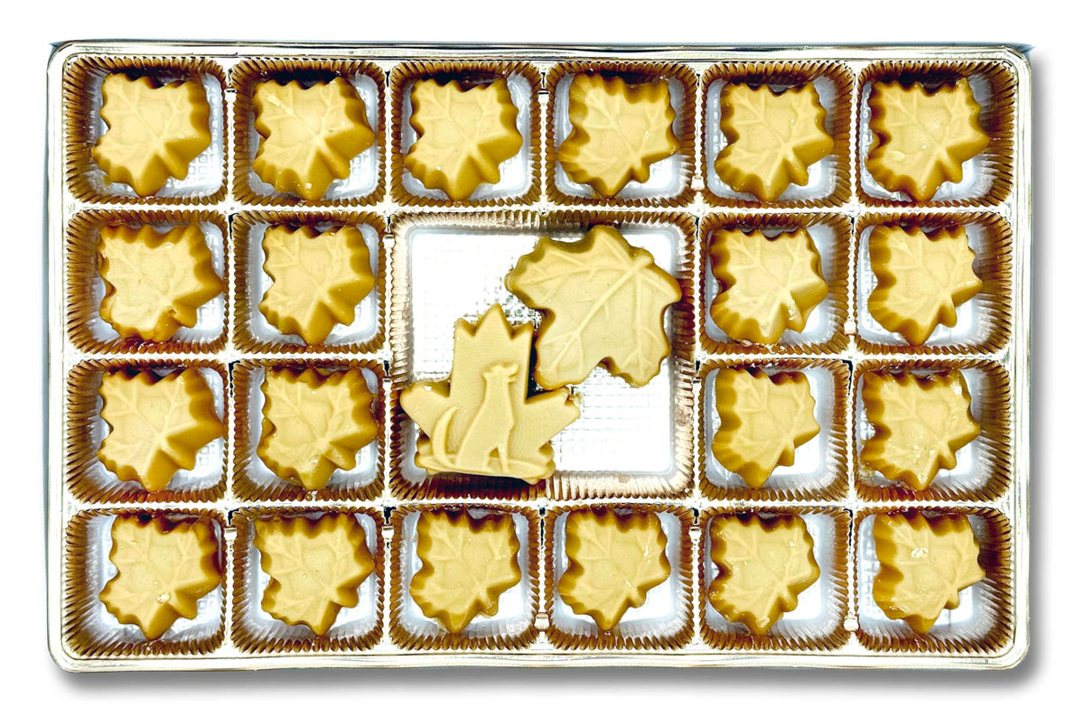 Nova Maple Candy close-up of sugar-leaf pieces highlighting natural maple flavor.