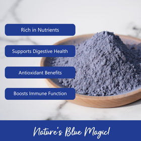 NPG butterfly pea powder in a glass shows vibrant blue beverage ready to enjoy