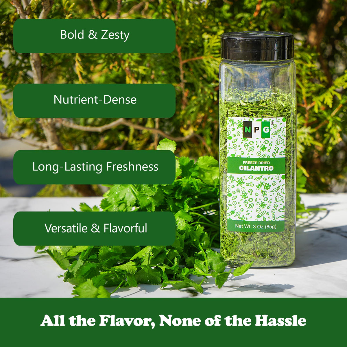 NPG freeze-dried cilantro stored in pantry for long shelf life.