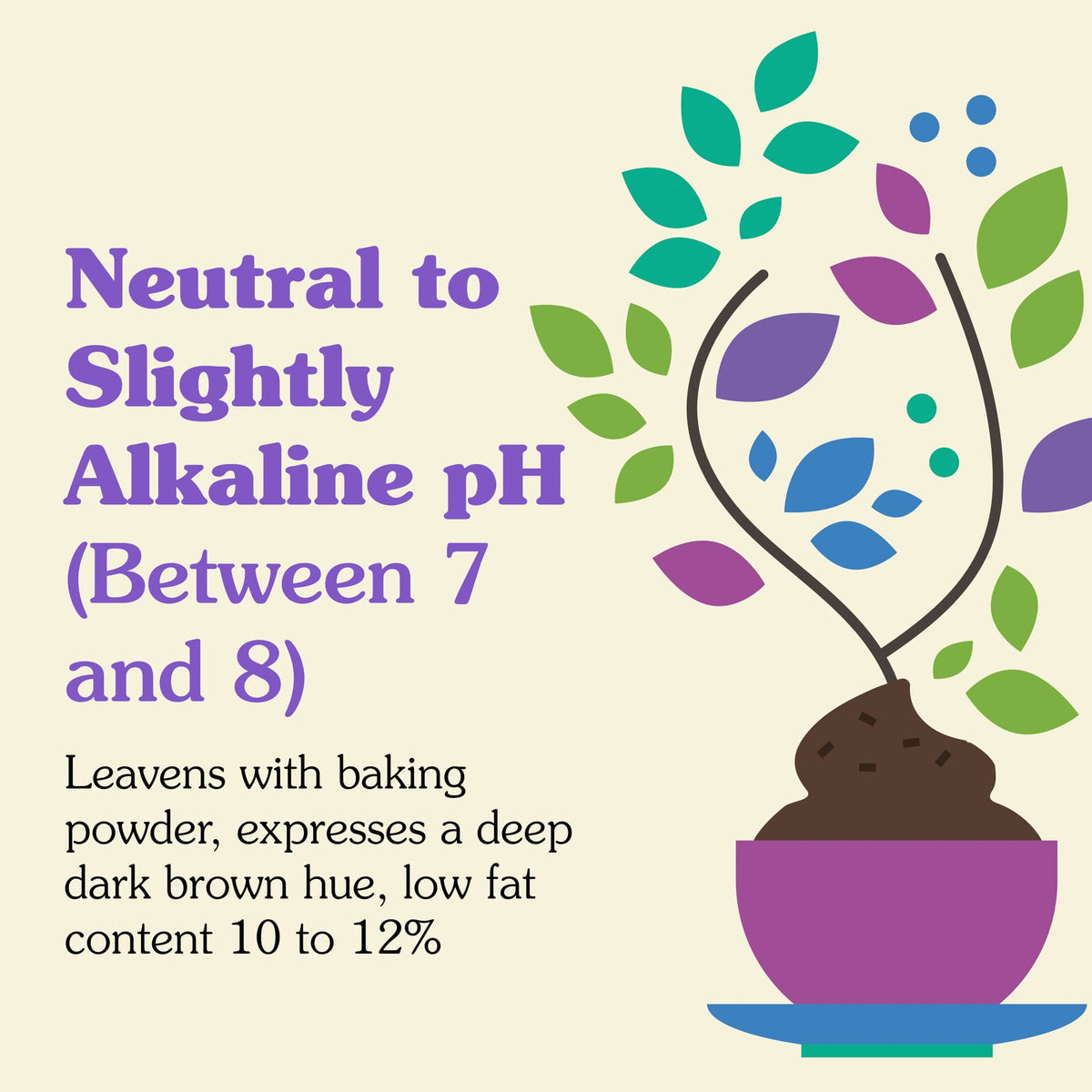 NuNaturals premium Dutch-process cocoa delivers smoother flavor