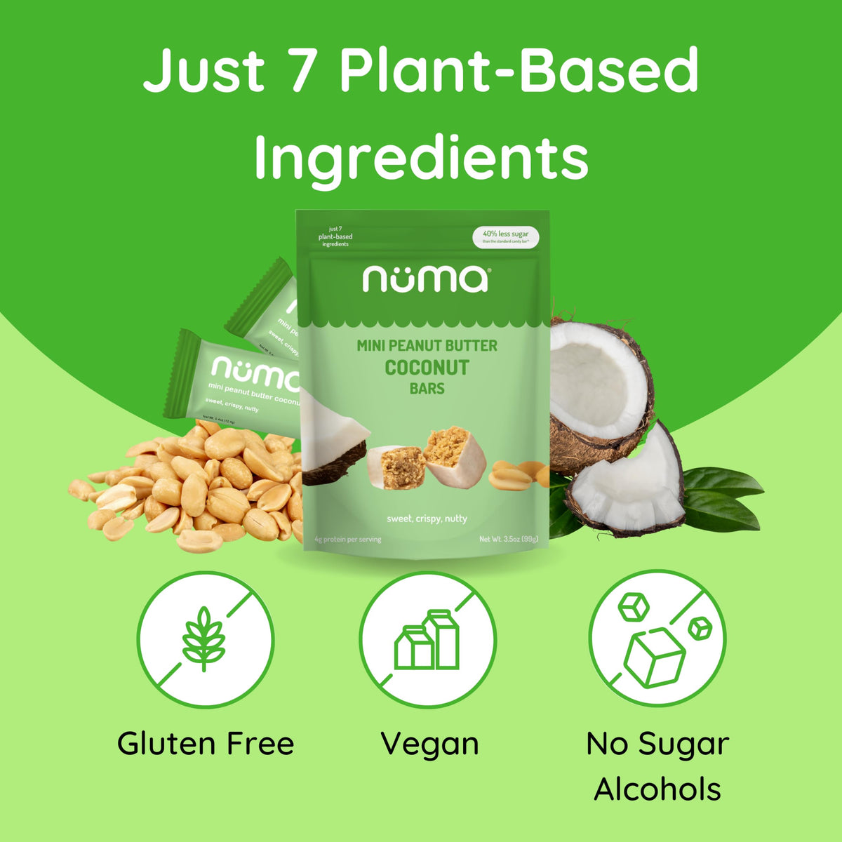 Numa Foods mini coconut peanut butter bars ingredients close-up—roasted peanuts and coconut.