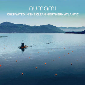 Numami add-to-recipes dulse featured as a convenient kitchen upgrade
