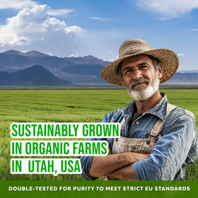 Numami Barley Grass Juice Powder packaging is biodegradable and eco-friendly