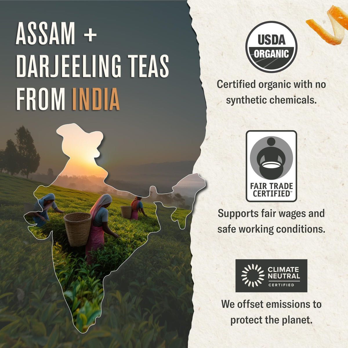Numi Breakfast Blend Tea plant based packaging signaling sustainability.
