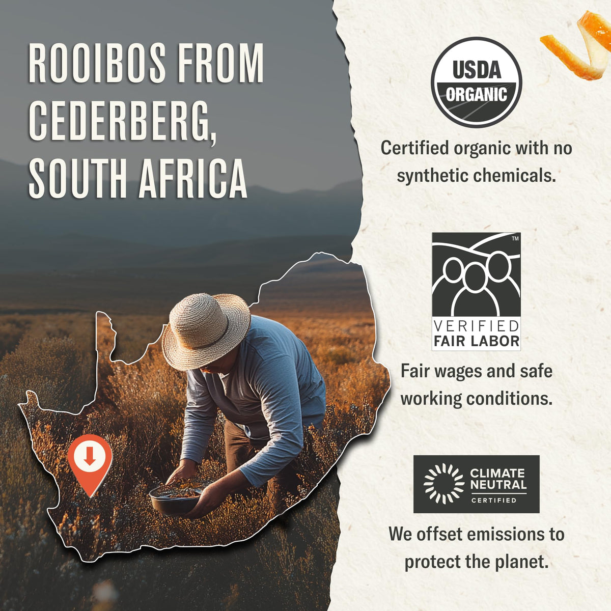 Numi Certified Organic Ingredients spotlight high-quality spices and herbs.