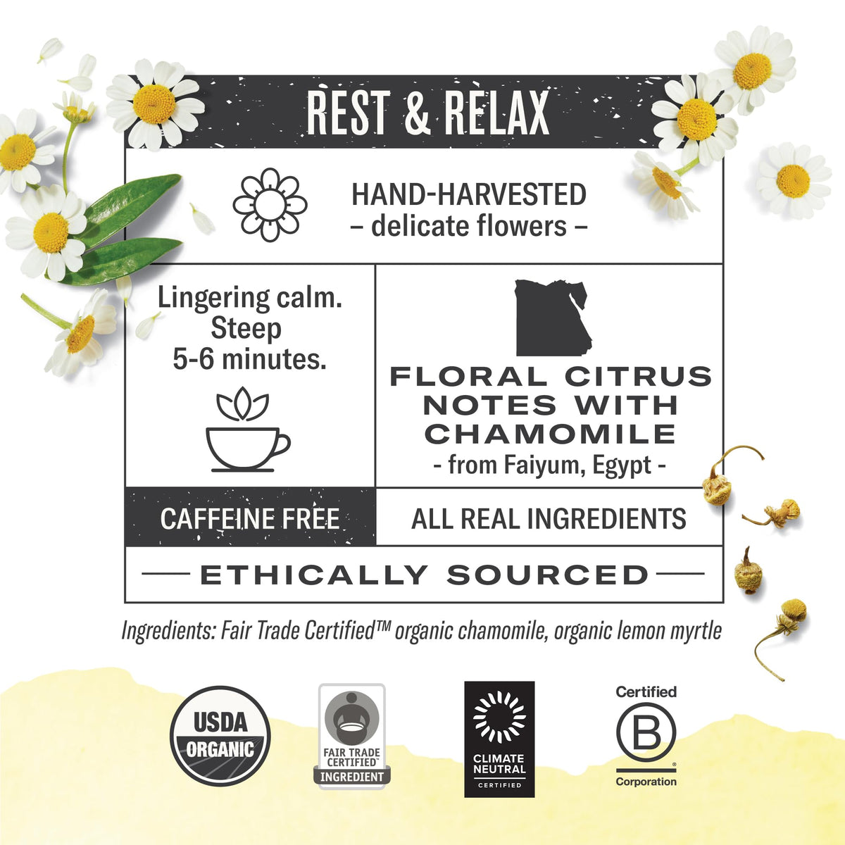 Numi Chamomile Lemon Tea steeping cup releasing citrus aroma for relaxation.