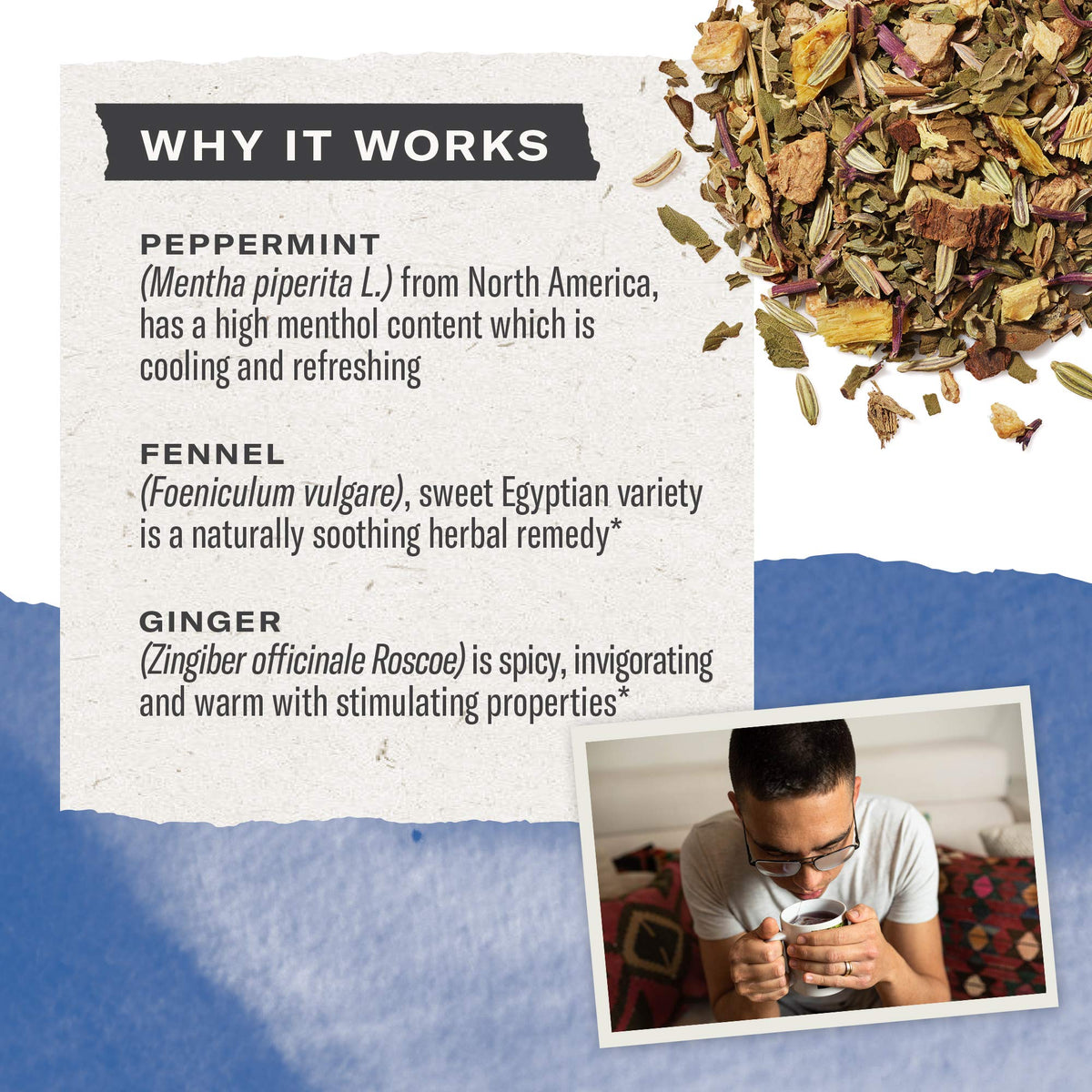 Numi Congest Away steeping cup releasing bright mint and warming spice