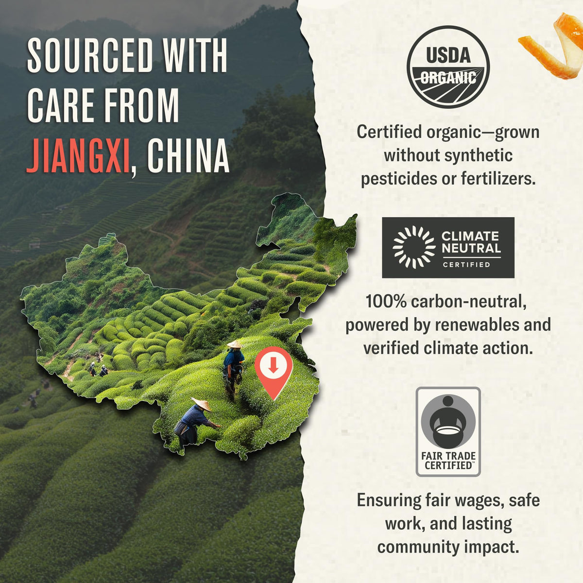 Numi eco-friendly packaging suitable for hotels and cafes with premium tea.
