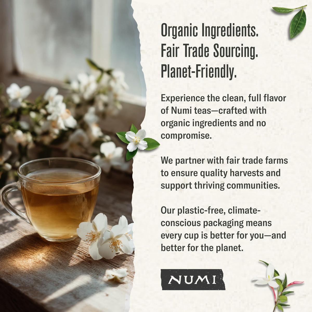 Numi fair-trade organic sourcing supporting farmers and sustainable farming.
