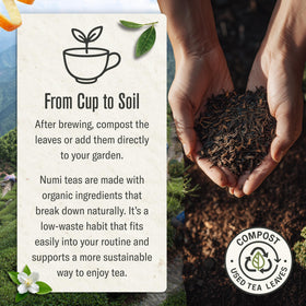 Numi green tea pouring into a cup with steam reveals refreshing aroma.