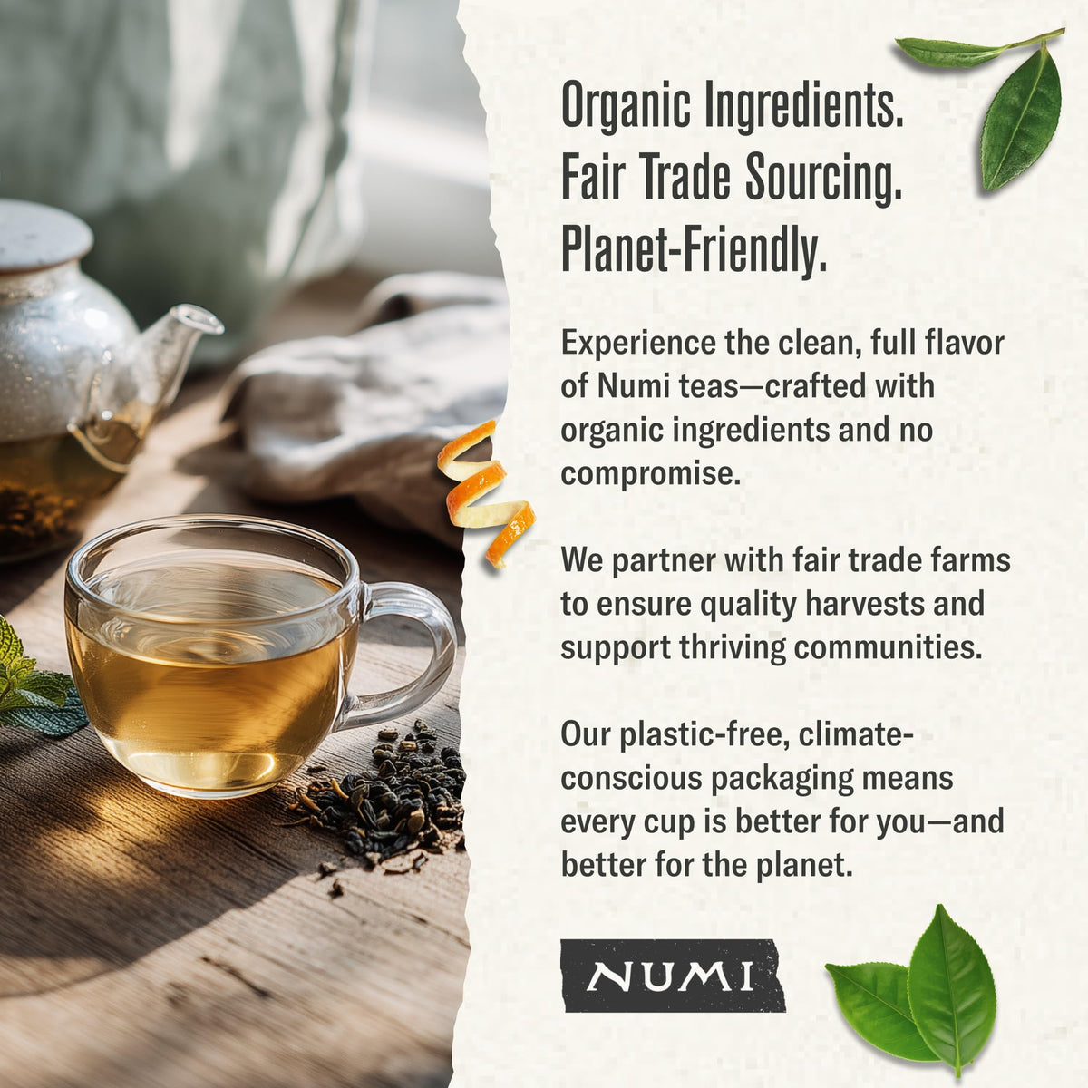 Numi gunpowder green tea leaves ready to steep