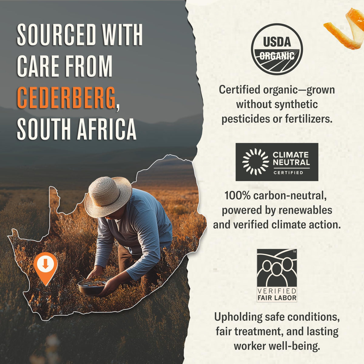 Numi Organic Rooibos tea ingredients label showcases pure, additive-free tea