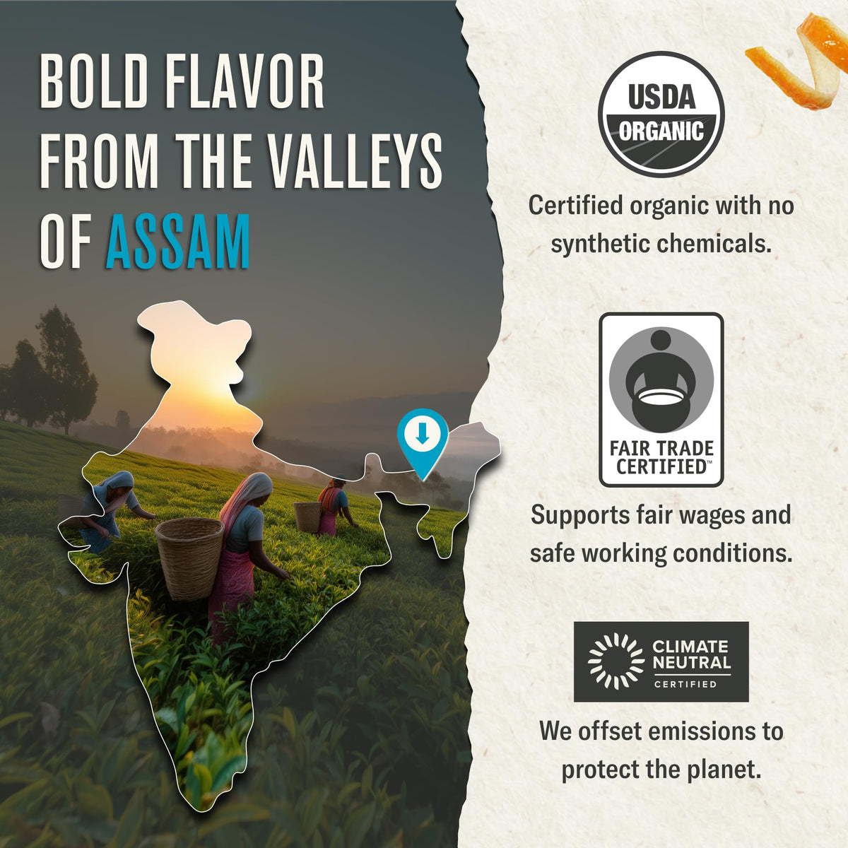 Numi organic tea collection featuring full-leaf blends and herbal options.