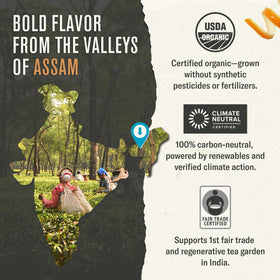 Numi organic tea leaves closeup reveals full-leaf quality and natural color.