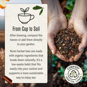 Numi Rooibos Chai cup emitting warm aroma with spices