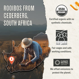 Numi Rooibos Chai packaging highlights Fair Trade sourcing.