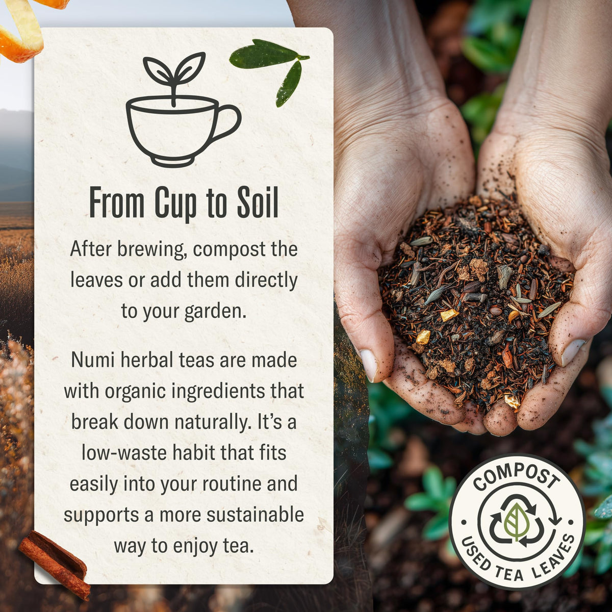 Numi Rooibos Chai steeping with spices for a comforting brew.