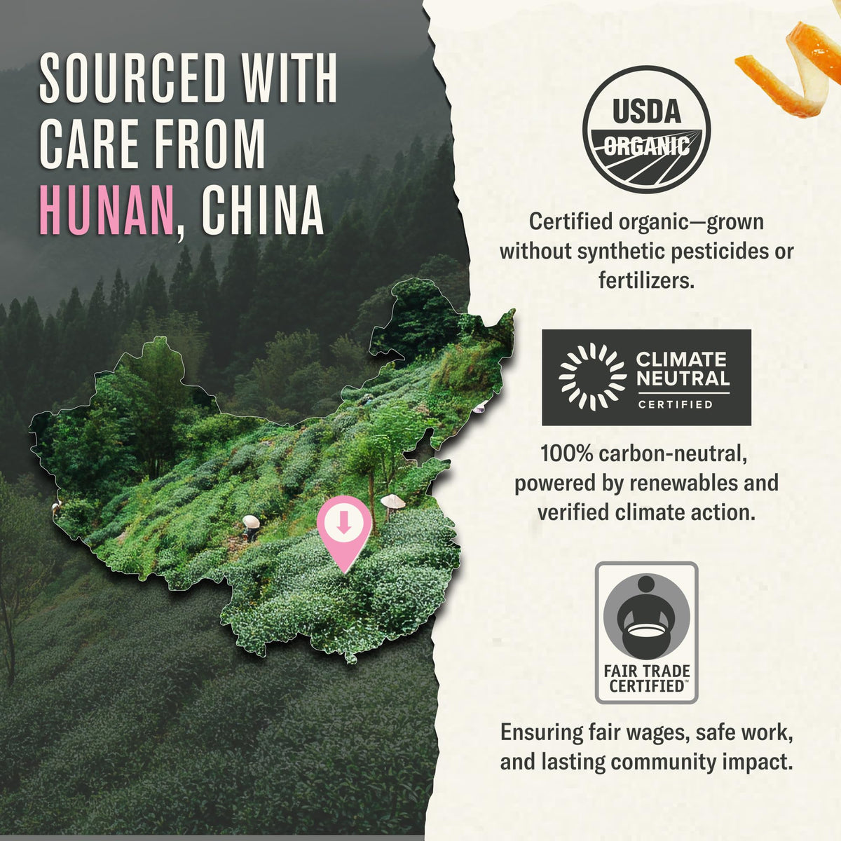 Numi Steaming tea cup with rose aroma and subtle sweetness