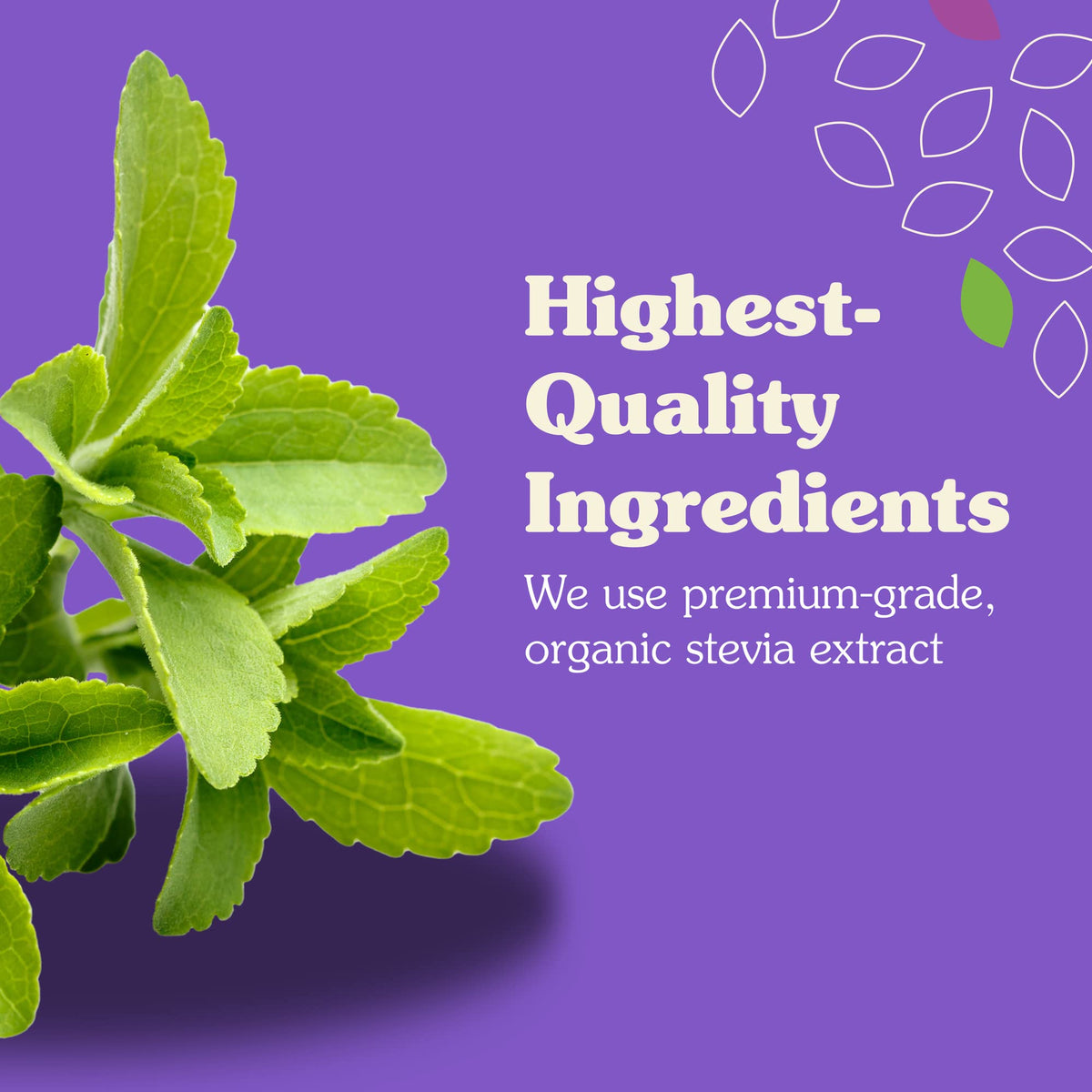 Close-up of NuNaturals Liquid Stevia bottle showing smooth flavor